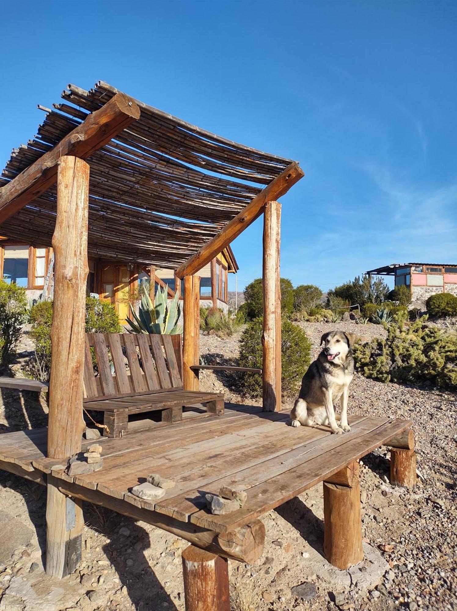 Cabana La Mostacita - Complejo El Taller Potrerillos Bagian luar foto